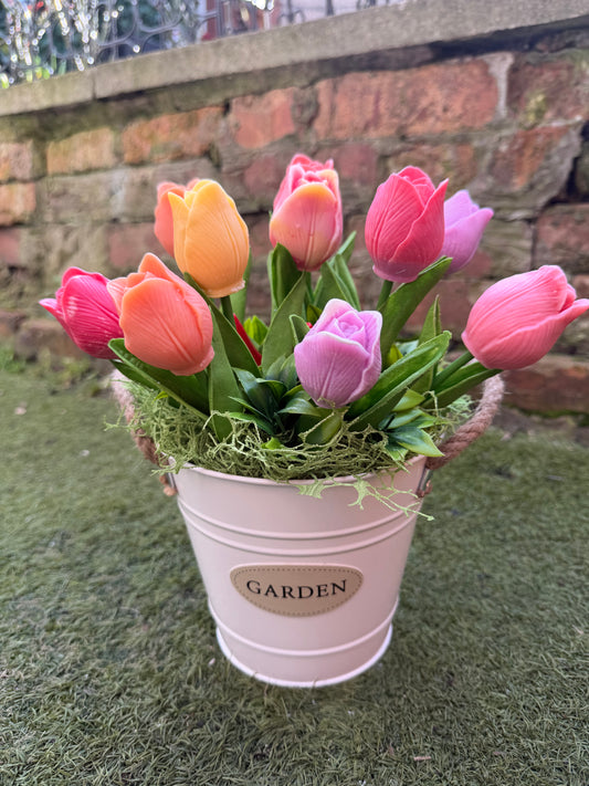 Tulips "Garden" bucket
